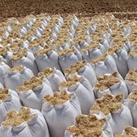 تبن دراسه • درجة اولى • موصل مخمور