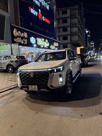 شانجان • ٢٠٢٥ • ممشا ١٠٠٠٠٠