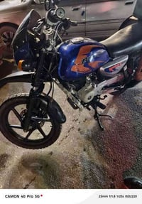 بوكسر جبلي • أوراق أصلية • بعقوبة