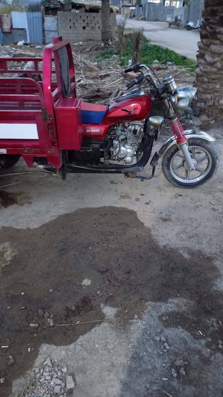 ستوتة المهرة ام الطير مكفولة كفالة عامة اوراق كاملة كهربائيات كاملة السعر 1600 وبيهة مجال قليل للاتصال او خاص واتساب ***********
***********
