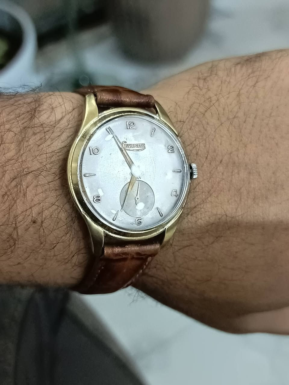 ساعه لڤيرتي سنتر ثواني منفصل قطر 37 سعر 95الف


**إذا كنت صاحب هذا الإعلان وتريد حذفه لأي سبب، رجاءا أرسل رسالة إلى الدعم الفني**