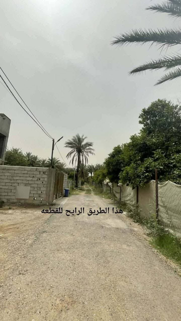للبيع قطعة ارض مساحتها 600م الواجهه26م النزال23م سند 25للاستفسار ومعلومات اكثر الاتصال على *********** تصلح للستثمار كمزرعه صغيره عائليه السعر 90مليون قابل للتفاوض العنوان الراشديه منطقة البوحياة
