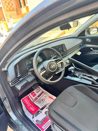 النترا • ٢٠٢٥ • وارد أمريكي