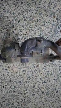 صالون • قطع غيار • بغداد