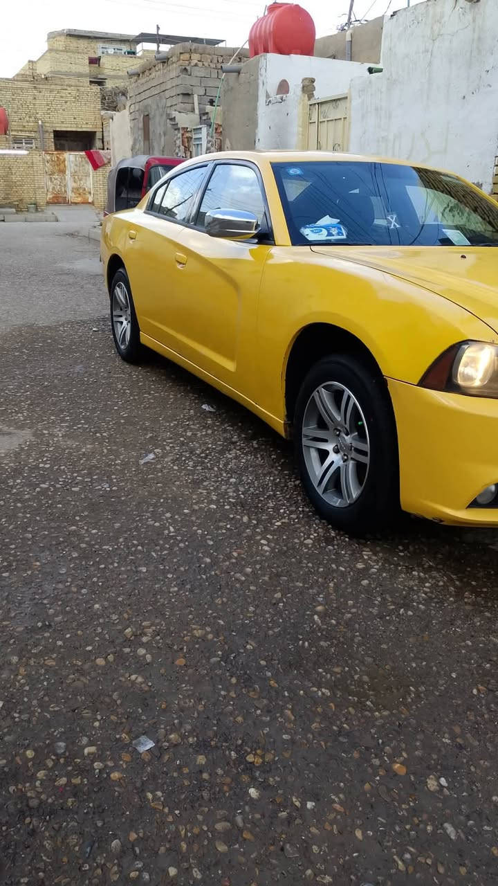 سلام عليكم جاجر 11 سياره بسمي سياره جاهزه من كلشي خطه بصره مجر شاشه الكبيره تشغيل عن بعد ويل خليجي 18مصفره هيه وغرامات سعر 135
ستفسار ع رقم ***********
