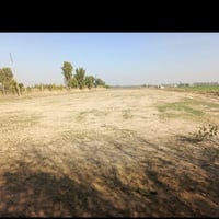 ارض زراعيه ١٠ دونم تبعد ع الشارع ٣٠٠ متر سند ٢٥ مستقل ارض خصبه صالحه ل...