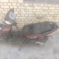 ثعلب • جامبو • مكاني