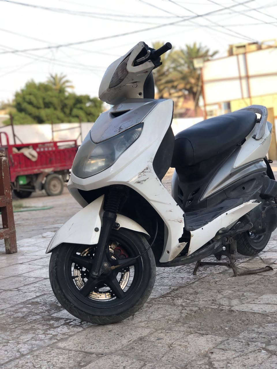 سلام عليكم سكنس فحل نوزل السعر 500 وبيها مجال *********** للاستفسار
