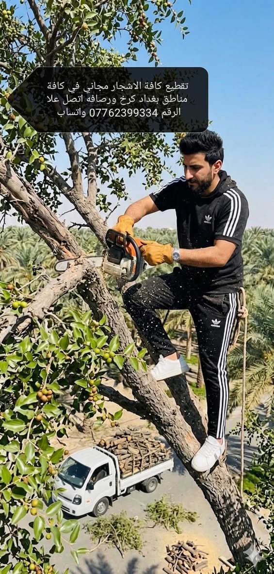 تقطيع كافة الاشجار مجاني في كافة مناطق بغداد كرخ ورصافه اتصل علا الرقم *********** واتساب
