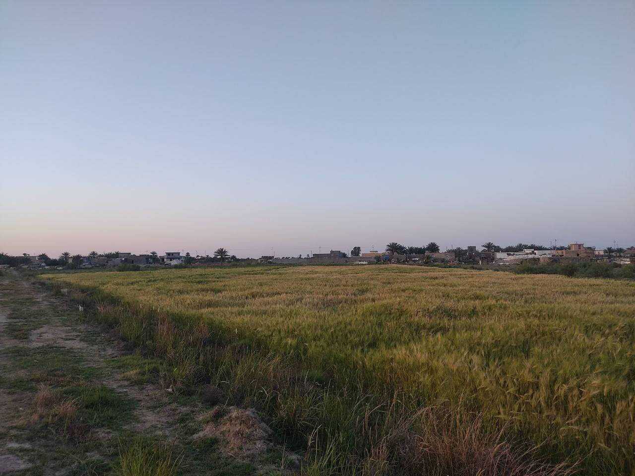 السلام عليكم ورحمة الله وبركاته اهلا وسهلا ،،،،،،،.  توجد ارض زراعيه مساحتها (  20 )  دونم للبيع في منطقة 
ابو طيبان الچري_التفاصيل الأتصال على الرقم التالي 
(***********) ابو شهم @إشارة
