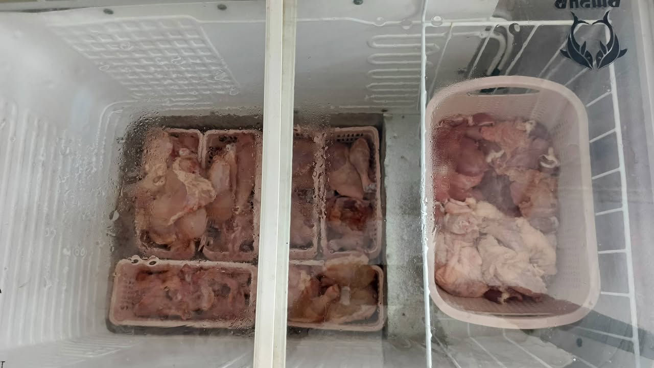 مجزرة دجاج بابل
شارع العلوة ركن شارع بيت شلاكة 
دجاج محلي اسعار مناسبة 
دجاج مقطع والكمية خير من الله 
لتجهيز كافة المناسبات 
أهلا وسهلاً بالجميع 
#محمد_الخزعلي ***********
