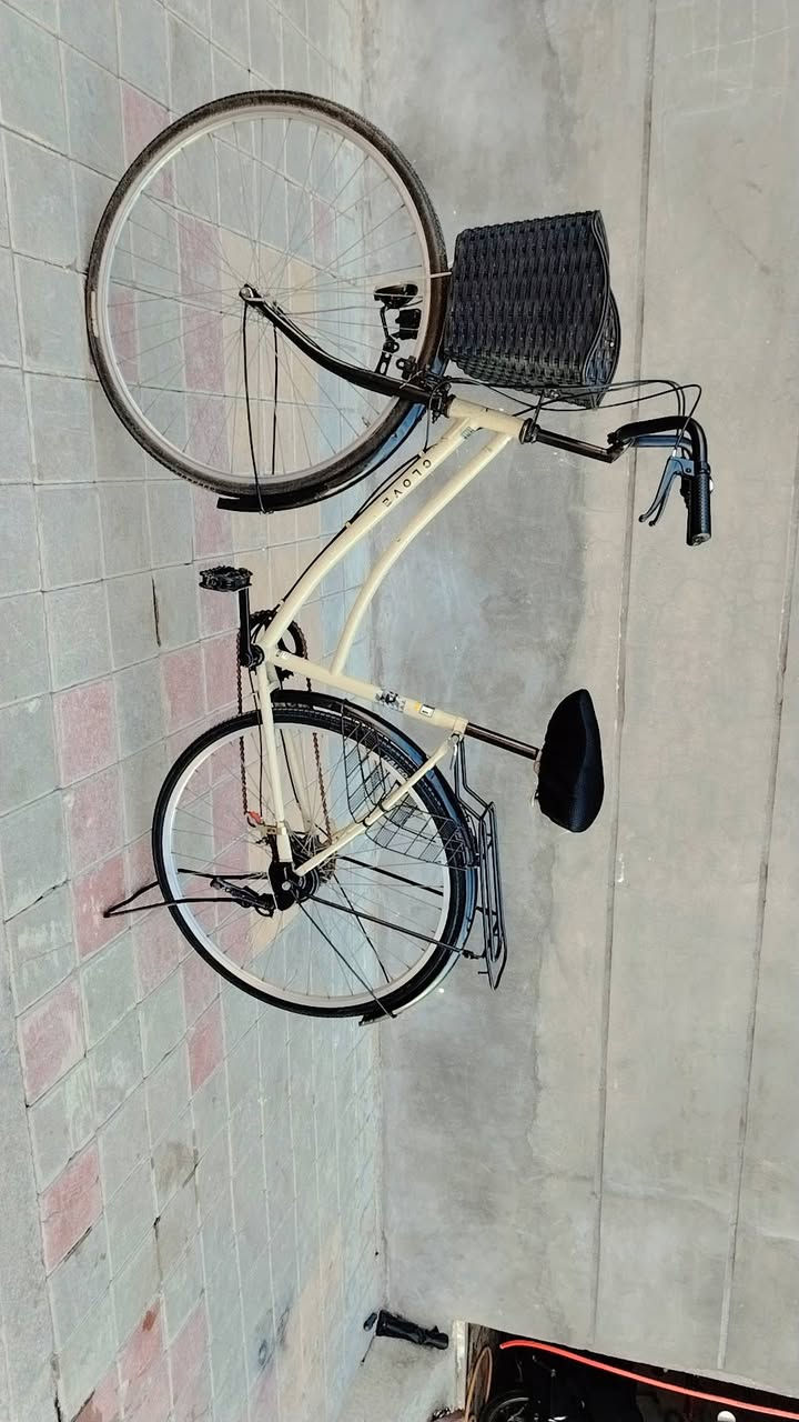 السلام عليكم
عندي باسكل ياباني للبيع
جديد جاهز من كلشي 
(كير)+(داينمو امامي)
(حجم. 27) 
مكان داخل الرمادي 
الاستفسار ***********
