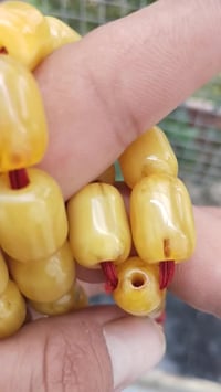 مسباح • الماني • سندلوس