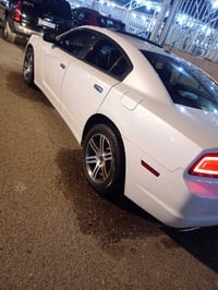 جاجر • ٢٠١٤ • كفالة