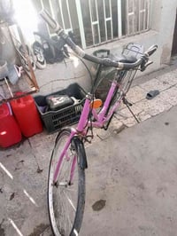 باسكل بناتي • خلفي تعبان • مستعمل