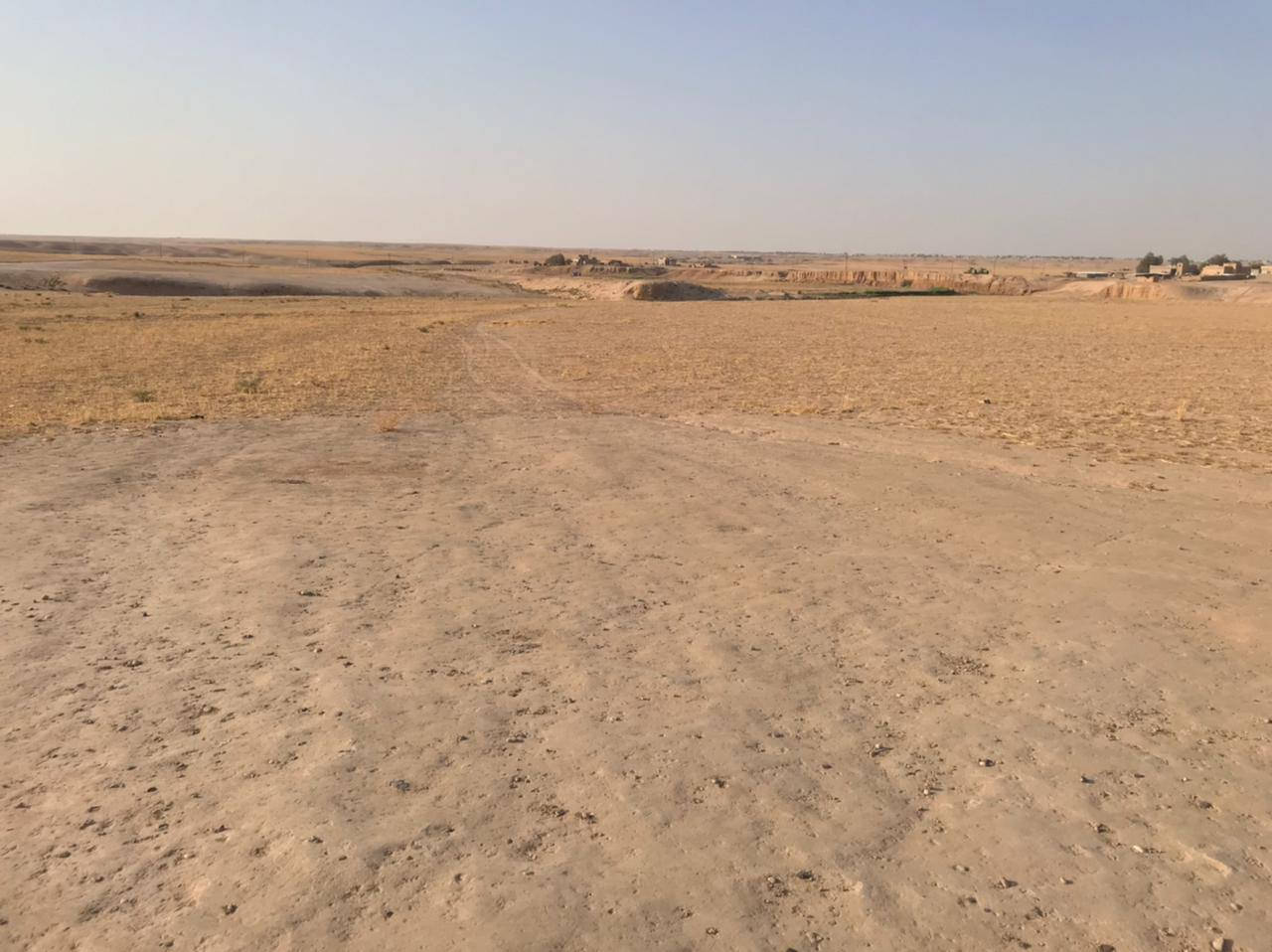 السلام عليكم عادت نشر بسبب الوعود الكاذبه يوجد لدينه الرض البيع المساحه 10دونم  العنوان العين البيضه مجاور كبور الجبر السعر 18وبيه مجال والستفسار عل رقم ***********
