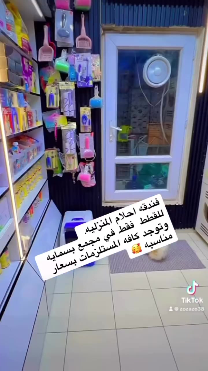 اجه الصيف وتريد تصيف 🌸
عندك سفر وحاير وين تخلي قطتك 🤗

فندقه  وصالون أحلام فتاة🏠 😻😻لقطط 🐈 

اهتمام نظافه 🛁🚿🪥كل انواع الدراي فود🍗🍖🍚 الي متعود عليه الحيوان 🐈
دراي فود طول اليوم وجبات دجاج 🍗🍗
معلبات فيتامينات 
 خدمه تنظيف الغرف 🚿🚿والرمل 24ساعه غرفه تشميس 🌞🌞لحيوان غرفه مكيفه🌈 طبعا طول اليوم بدرجه حراره 
 كهرباء مستمره غرفه مراقبه 🎥🖥️  🐈🐈‍⬛
ويوجد صالون
 
تنظيف اذان 🦻وعيون 👀وتقليم اظافر👣
 وافضل انواع الشامبو 🛁والبودرة 
ويوجد ذكور بيرشنات للتزاوج 

ملاحظه👇
  اعتذر عن استلام القطط الغير ملقحه ومصابه بلأمراض 🦠
مكان مجمع بسمايه السكني توجد خدمه توصيل ا🚕🚗🚙 

للجميع


**إذا كنت صاحب هذا الإعلان وتريد حذفه لأي سبب، رجاءا أرسل رسالة إلى الدعم الفني**