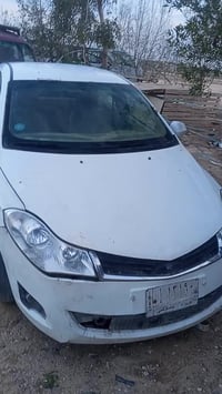 شيري فلاوين • ٢٠١١ • رقم كربلاء ١٤