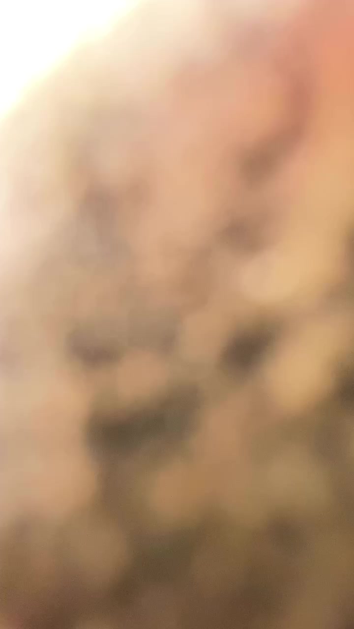 Mobil1
الزيت الاول عالميا 
محلات ابو احمد لتبديل الدهن
توصيل مجاني 
***********
