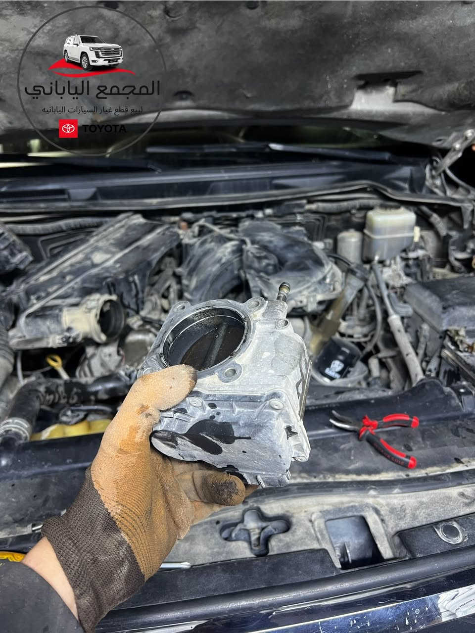 📢 قسم الصيانة في المجمع الياباني يقدم لكم خدمات متميزة بأسعار تنافسية جداً 🔥 وجودة مضمونة 🇯🇵

🔧 خدماتنا:
• صيانة شاملة لل (لاندكروزر – برادو – هايلوكس)
• بيع قطع غيار (جديد + مستعمل)
• فحص وتشخيص الأعطال بأحدث الأجهزة
• ضمان على العمل والصيانة

📍 الموقع: بابل – الحلة – الحي الصناعي – الشارع العام
📞 للاستفسار والطلب:
***********
***********

🚚 خدمة توصيل متوفرة لجميع محافظات العراق
