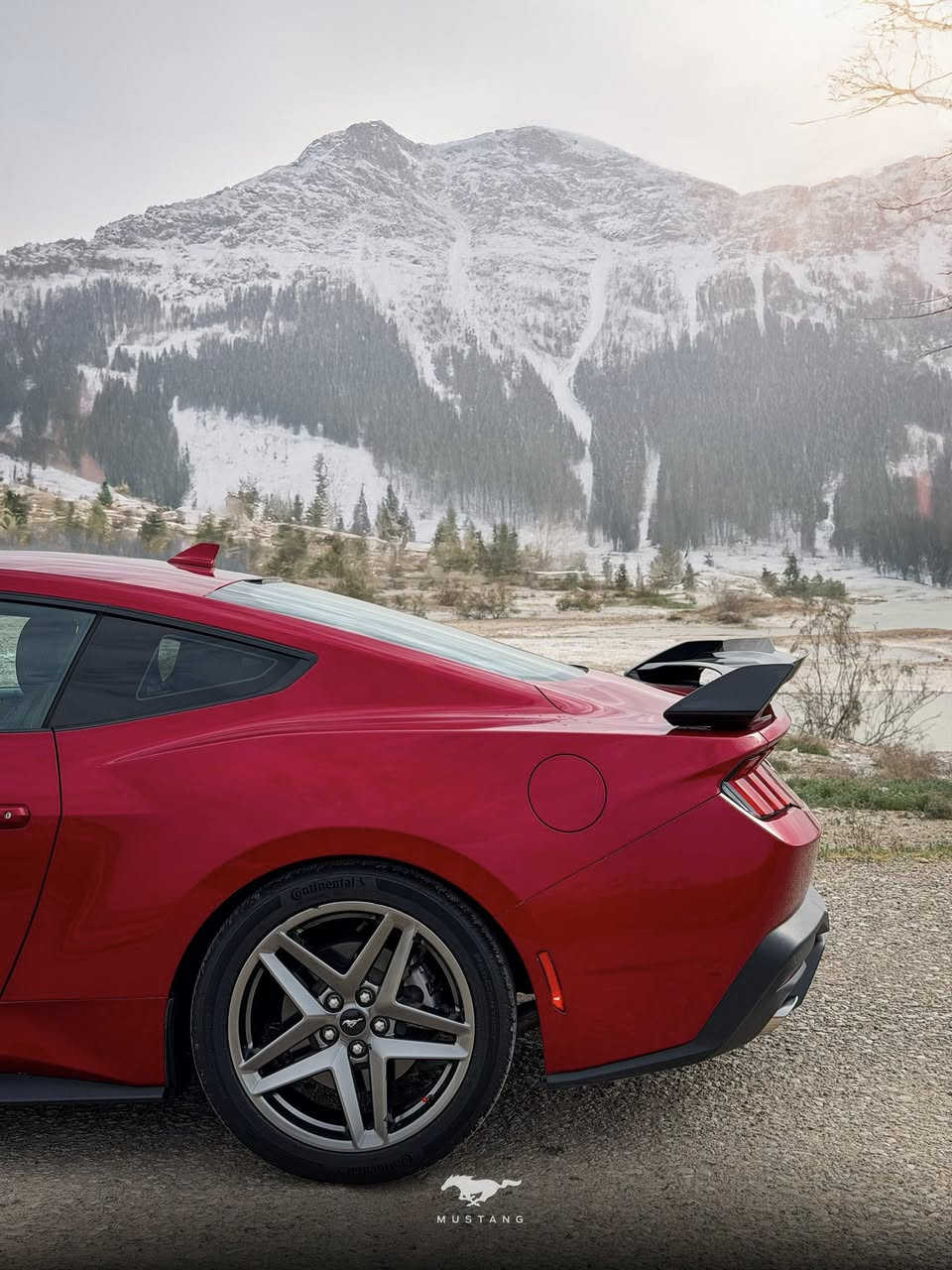 كروب 🇮🇶 مختص لبيع السيارات المميزه 🇮🇶
غير متواجد على فيسبوك 
فقط وتساب -***********

للبيع$ الشكل الجديد 
Ford_Mustang__Eco2025🐎
 فورد موستنك ايكو 🐎

لون:- احمر🍒

رقم اربيل الجديد هزه وفحص ايضاً جديد

عداد المسافه:-38.000
محرك+كير كفاله عامه 

حادثة:-1FA6P8TH4R5127112
صور الحادثة بالمنشور ورقم شاصي يمك 
٣قطع إماميه صبغ 

مواصفات فول 
كير اوتماتيك 

السياره بعداخت زيرو ريحت الشركه بيه بالعافيه ع ياخذه

لل الاتصال:-
 ***********

سعرها:-217$قفل 🔒 مستحيل اكو هيج سعر ابد 🤍
