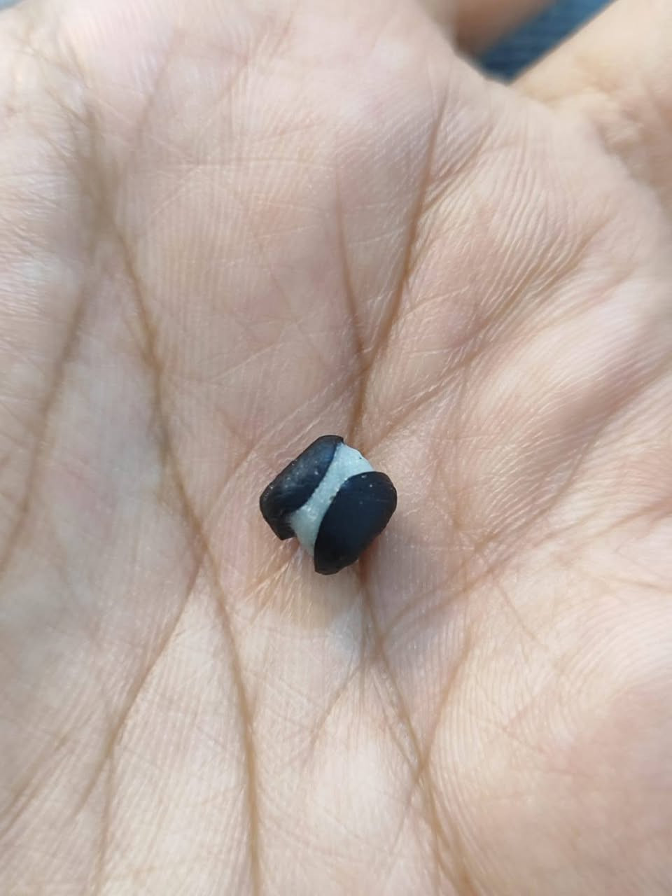 جزع خنصر ناعمه 💪مال كاع يعني مال كاع،الي ينشاف بالعين ماينحمد😍


**إذا كنت صاحب هذا الإعلان وتريد حذفه لأي سبب، رجاءا أرسل رسالة إلى الدعم الفني**