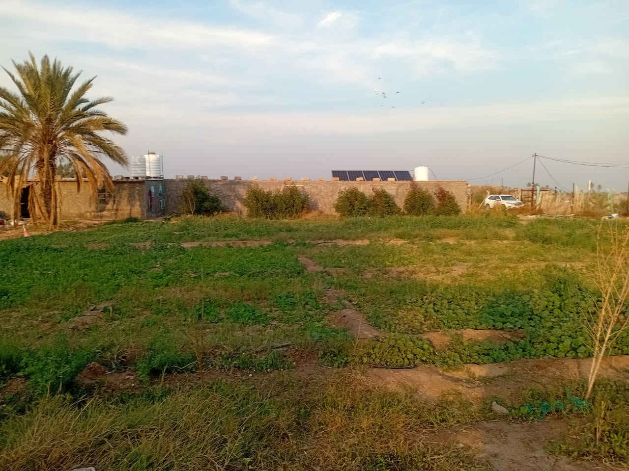 دونم سياحي استثماري في اليوسفيةبيرالحمام فيةثلاث حقول دواجن ثنين جاهزات وواحد بدون سقف مع دار ٩٠ متر كامل مع غرفةمولدات ومنضومة طاقة شمسية١٠ امبير مع كهرباءثري فيز مع ماء اسالة وبجانب ساجية السعر ب١١٠ وبيةمجال اتصل***********ابوعبداللة واتساب
