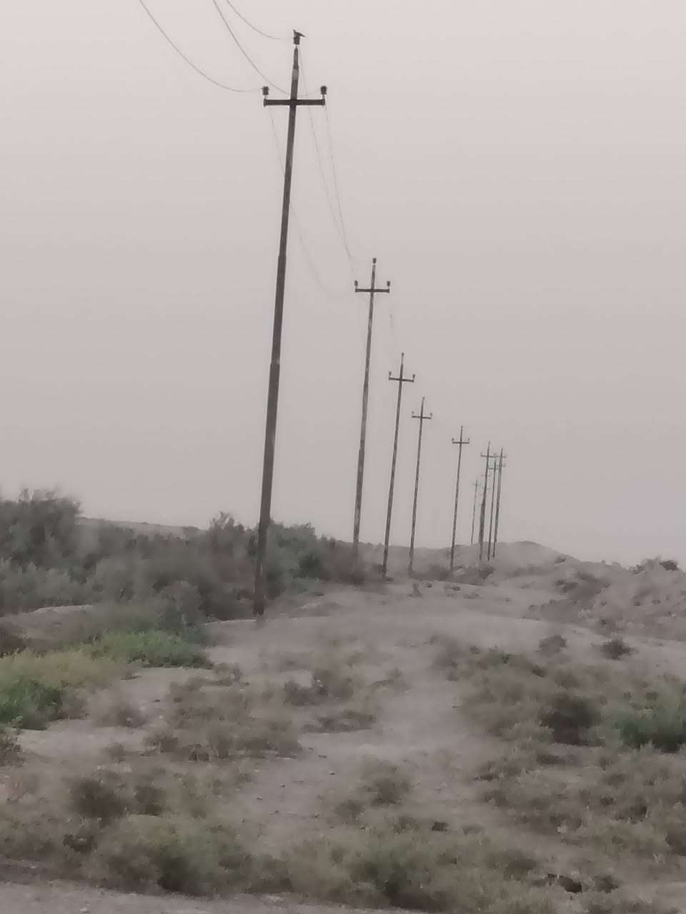 خط كهرباء ادعش المسافه 1100متر  سمك السلك 70العمده الثقيل  الخطوط السلاك  عداد ثلاث خطود لاستفسار ***********المكان ميسان
