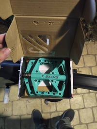 بسكليت ماركة