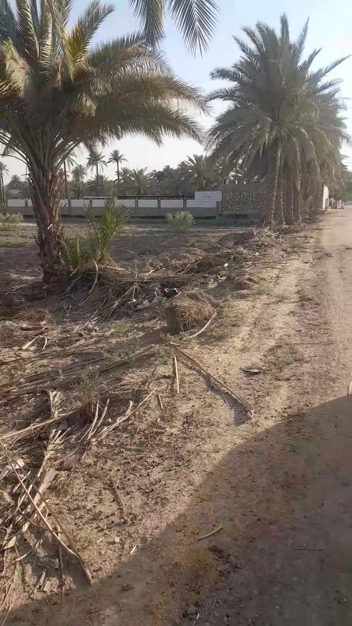 عندي ٣ دونم للبيع طويريج الرشيدة الرقم *********** كافة الخدمات امسيجة
