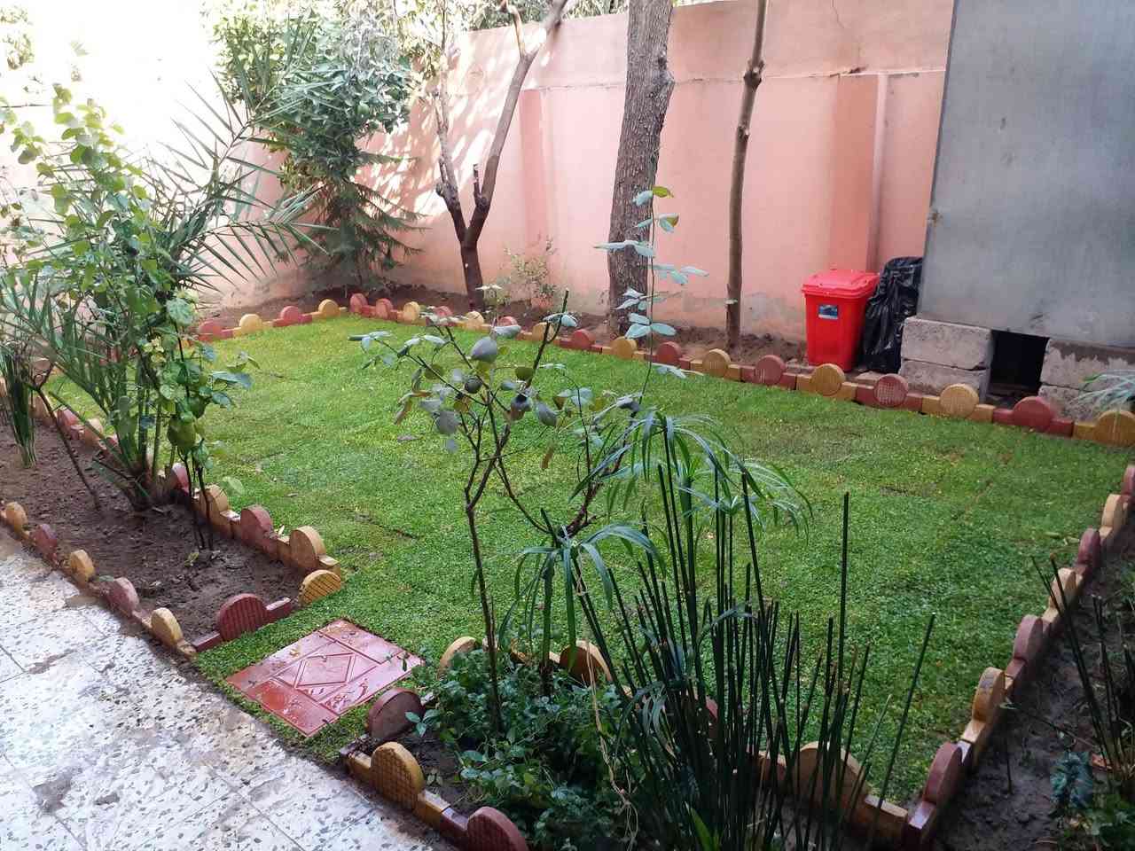 تاسيس وترتيب الحدائق وباسعار مناسبة ***********-----***********
