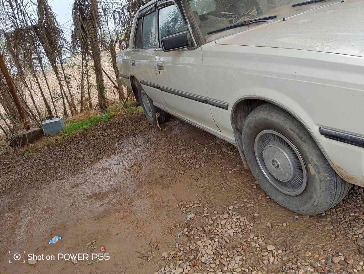 سلام عليكم سوبر للبيع موديل 82كير محرك محرك بلادي كير عادي سياره كلها بلاديه بدون قطره  صبغ  بدون طخه بدون شخط سياره شرط سياره حيل نضيفه  الله شاهد متعوب عليه ومال جناي السعر 50 وبيه مجال هاذا سعارهن بل سوك لا زياده ولانقص للاستفسار الاتصال على الرقم أو مراسله واتساب *********** مكان السياره صلاح الدين تكريت
