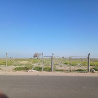 ٥دونم • طابو زراعي • كربلاء المقدسه