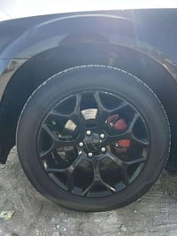 تخم ويلكب عنكبوت حجم 18 بيع او مراوس(350)الف07815752525