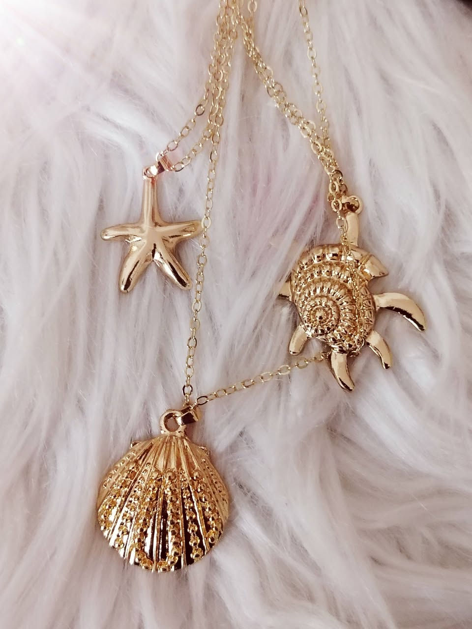 سعر 25مع توصيل


**إذا كنت صاحب هذا الإعلان وتريد حذفه لأي سبب، رجاءا أرسل رسالة إلى الدعم الفني**