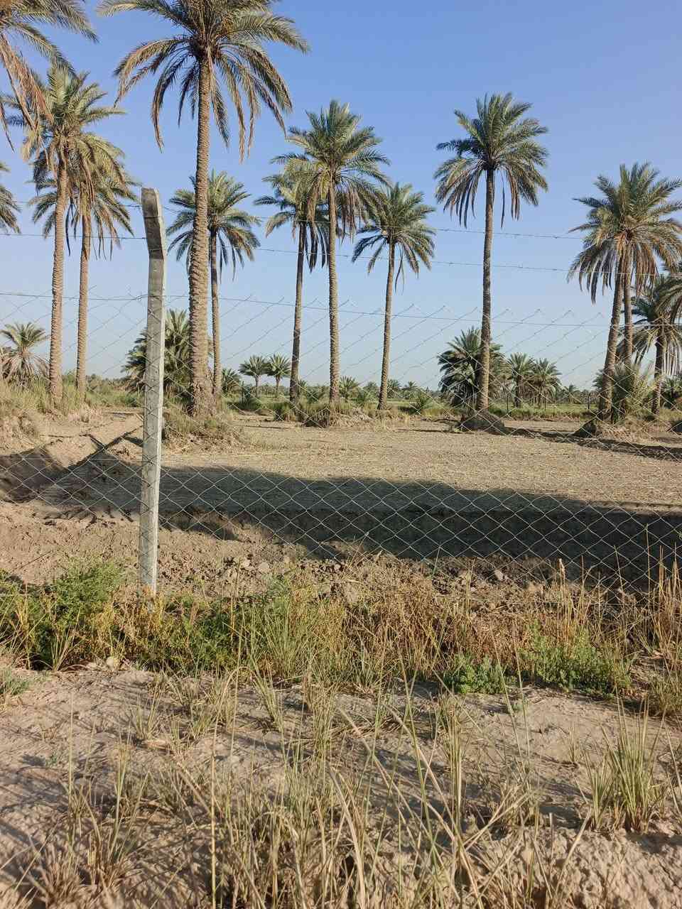 اسلام عليكم دونم ونص لبيع
طابو زراعي سند 25 الواجه 40متر
مكان الرض الدسميه مسيج بل كامل وجهيه عل بزل فرعي
سعره 60 وبي مجال اتصال ع ***********            ***********
