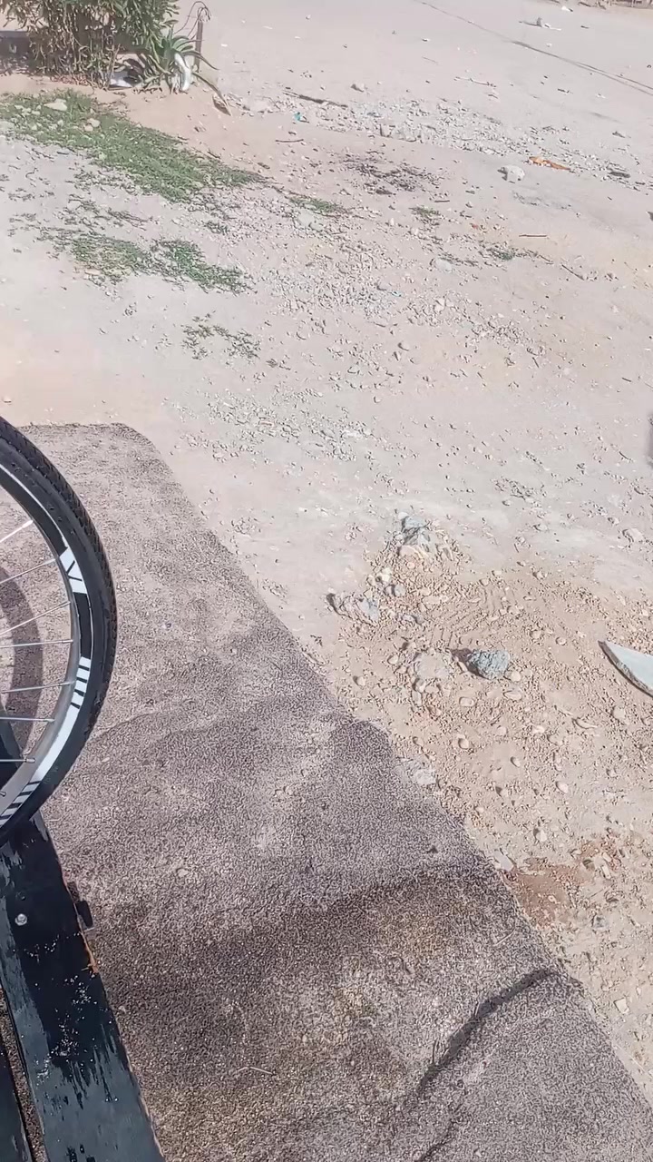 بيسكل للبيع كربلاء امن داخلي.+چاملغات موجود+ راسلني خاص


**إذا كنت صاحب هذا الإعلان وتريد حذفه لأي سبب، رجاءا أرسل رسالة إلى الدعم الفني**