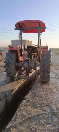 فورگس النگليزي 75 • بدون تحويل • ميسان كحلاء