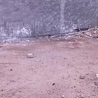 شراي ينتصل07838813910