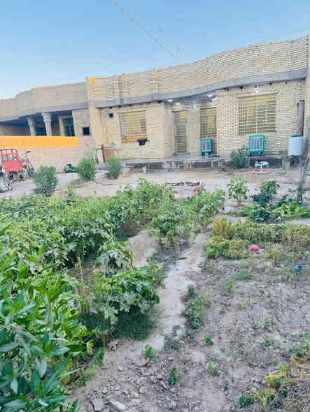 (السعر 75مليون او بي مجال 🤑🤑)

السلام عليكم بيت مساحه 600متر مساحت البيت 300متر أو حديقه 🌳🌳300 يحتوي عله ثنين حدائق 

البيت بناء درجة أوله 

بناء البيت 3غرف نوم أو صاله أو ستقبال أو مطبخ أ صحيات

منطقه كله ساكنه بيه ناس 

البيت طابو زرعي 25 📋أو قرار محكمة بسم المشتري📝

المكان النجف شارع كربلاء عمود 155طريق يا علي يبعد عن طريق الزوار 300متر 🛣️🛣️تبليط لباب كهرباء وطني أو مولد ذهبي ماي 💦💦مدارس قريبه📋📝

رقم الهاتف***********واتساب
