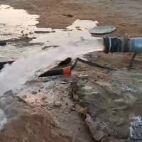 ٣٠٠دونم • بير بعقد • شعيب الذيب