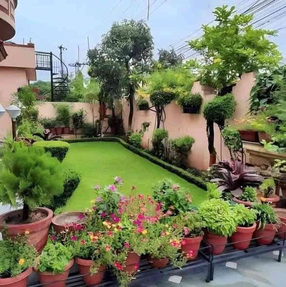 مكتب الزهور لتجهيز وتزيين الحدائق المنزلية والعامة وكل انواع الحجر والشلالات والنافورات والثيل الطبيعي او الاصطناعي ومكافحة الارضة اتصل على الرقم ***********
