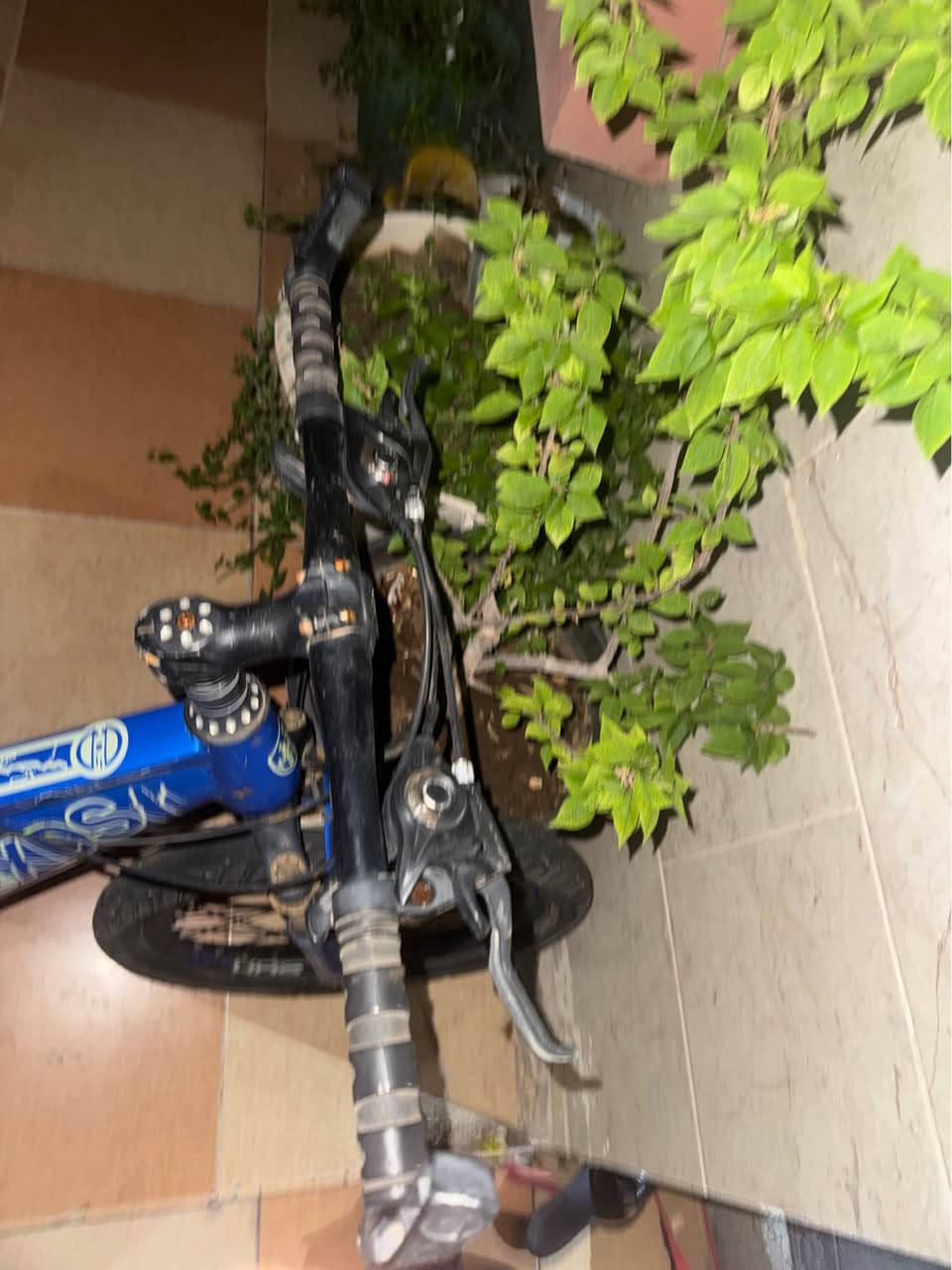 پاسکیل ئەبوو گێڕ سوکان قەوس لۆک بەشەرت ٧گێڕ تایەو گێر بەشەرت و لۆکک كركوك, العراق


**إذا كنت صاحب هذا الإعلان وتريد حذفه لأي سبب، رجاءا أرسل رسالة إلى الدعم الفني**