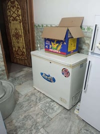 مجمدة • للبيع