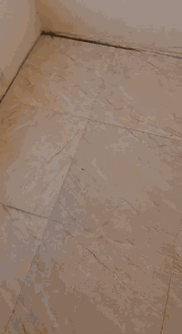 شقه مؤثثه للايجار موقعه بعقوبه التحرير الحولي مقابيل دائره الكهرباء  
للاستفسار الاتصال  ***********
