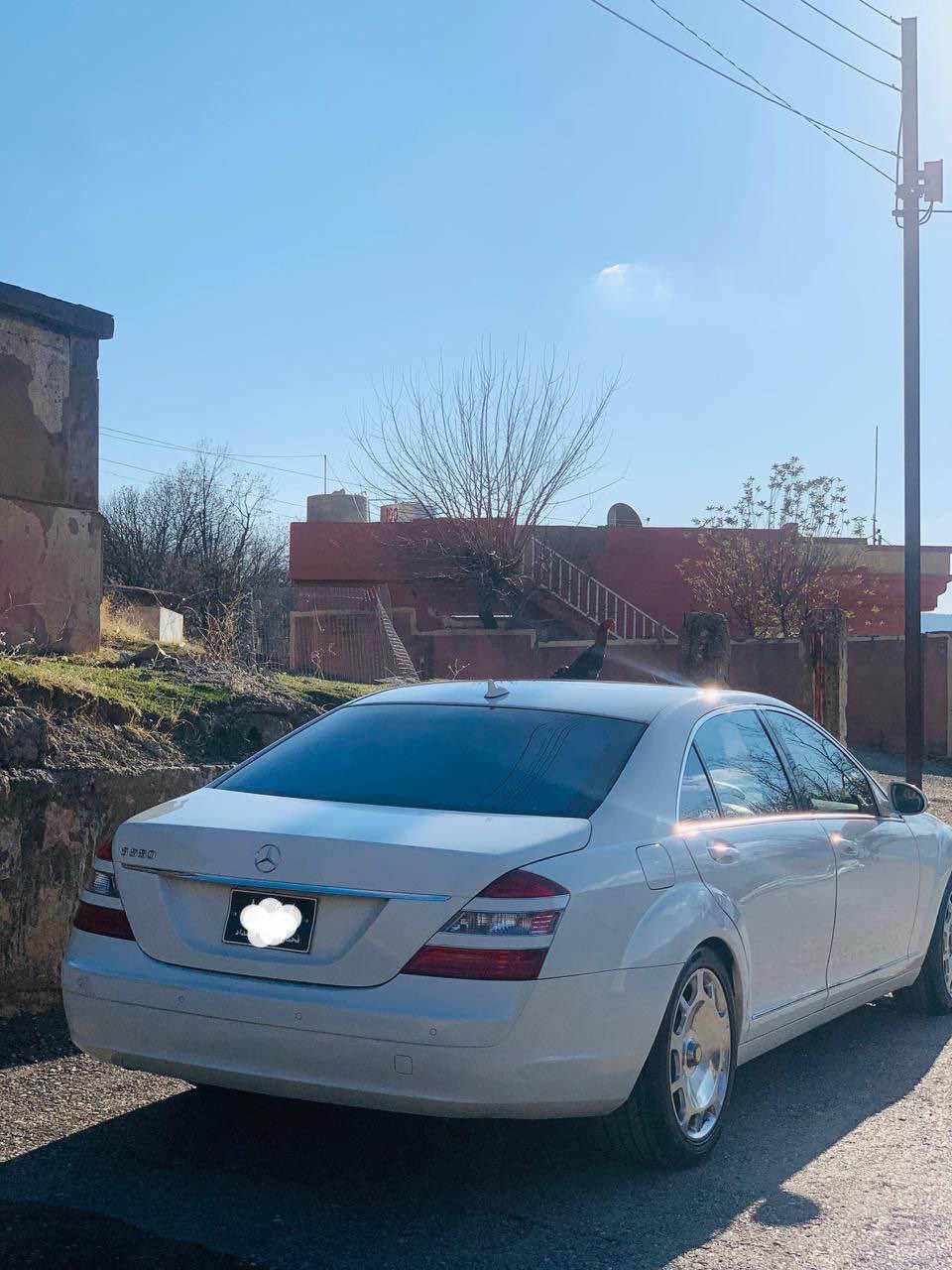 سعري 84$ مه عامه له  ***********
ميرسيدز s550 فول فول مواسه فات قه پات موديل 2009 ساغ ساغ ده عمو ليدراوي نيه نمونه ي جواني هه موو گياني له سه ر ده قي شه ريكه كاره باي گيرو مه كينه هه موو ي به شه رت له سليمانيم سعري 84$ مه اعمه له *********** السليمانية, العراق
