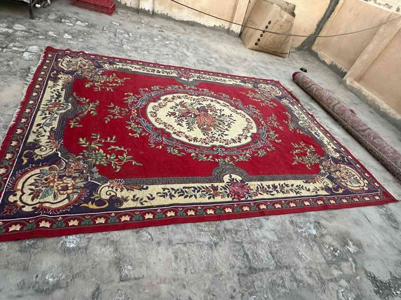 زوالي نضيفات كلش وجدد بس انريد انشيل وحته وديناهن للغسل المكان كربلاء السعر خاص وبيهن مجال للطيبين  رقم الهاتف واتساب ***********
