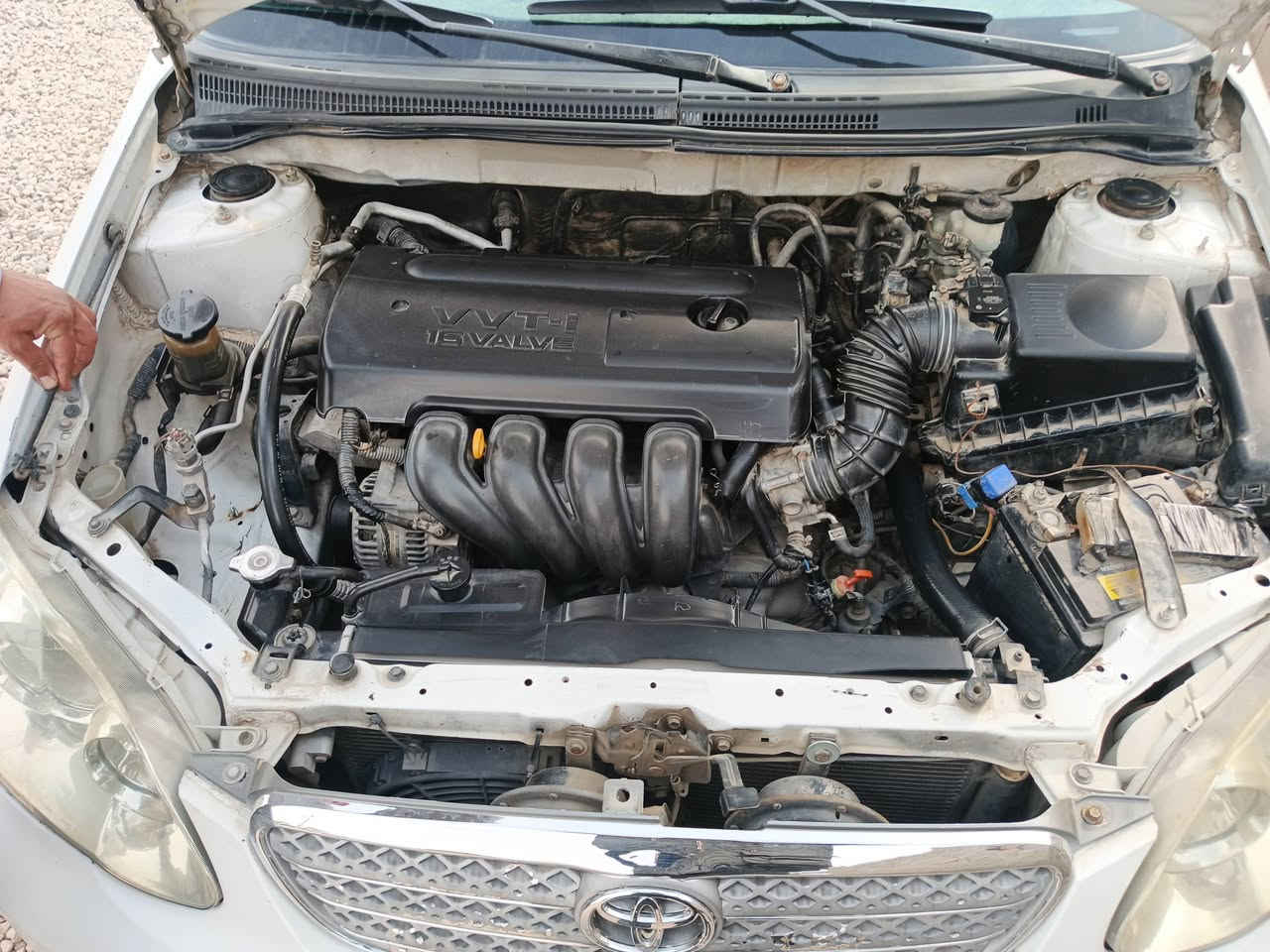 سلام عليكم عندي سياره كورولا نحله  موديل 2006  اريد اروس ويه سنوته2011انطي فرق هم تعلو خاص


**إذا كنت صاحب هذا الإعلان وتريد حذفه لأي سبب، رجاءا أرسل رسالة إلى الدعم الفني**