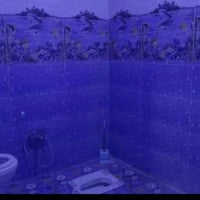 أبو الخصيب/أبو الجوزي • ٢٠٠م • طابو زراعي