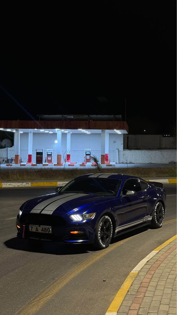 2015
بێ بۆیاخ بێ دەعمو لێدران 
6پستۆن
دەعامی بۆ دەعامی دارو بەردی بەشەرت
٩٠هەزار رۆیشتیە أربيل, العراق


**إذا كنت صاحب هذا الإعلان وتريد حذفه لأي سبب، رجاءا أرسل رسالة إلى الدعم الفني**